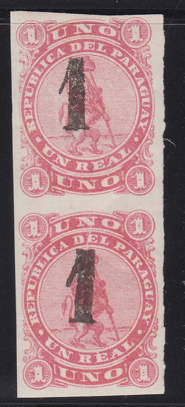 Paraguay 1884 1c on 1c Rose Vertical Pair MNH. Scott 19
