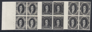 Argentina 1864-67 Liechtenstein 1924 Reprint Marginal Proof Blocks x 3. Scott 8-10 var